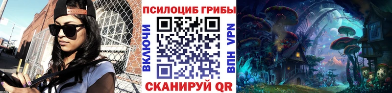 Галлюциногенные грибы Psilocybe  Кисловодск 
